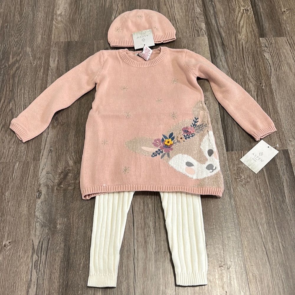 Aspen Kids Adorable Sweater, Pants, and Hat Size 24 Months NWT